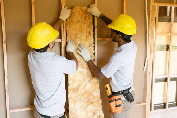 Best Cellulose Insulation  in Winfield, TN