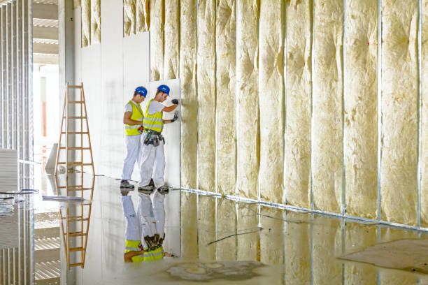 Best Home Insulation Services  in Winfield, TN